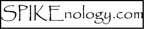 SPIKEnology.com - IT Services with a local flair